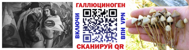 Галлюциногенные грибы мицелий  Прокопьевск 