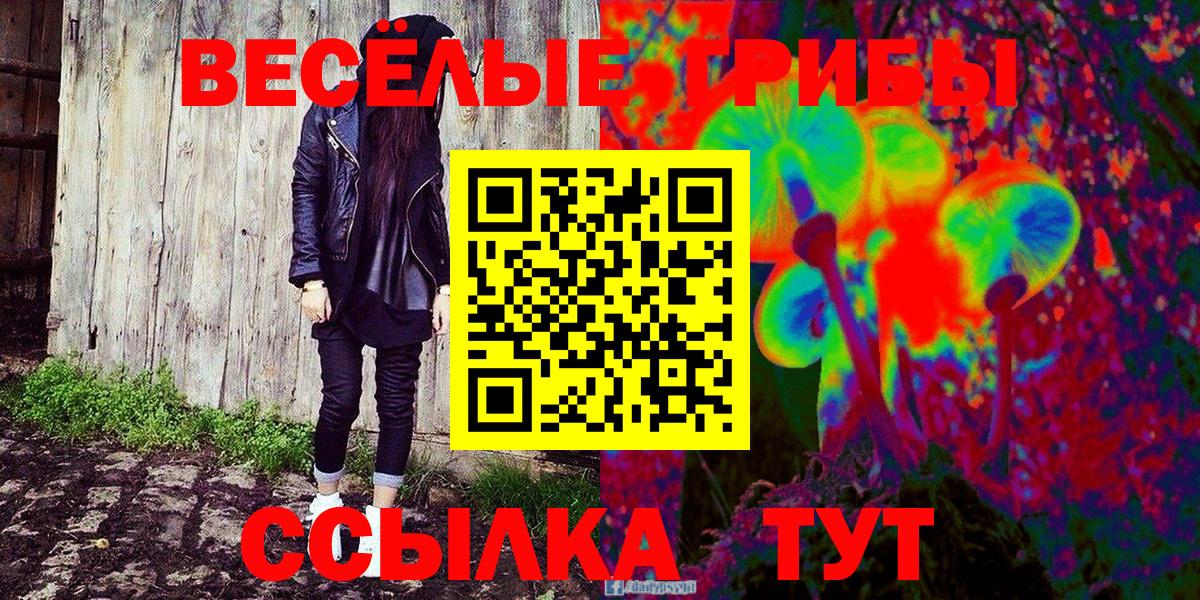 Псилоцибиновые грибы MAGIC MUSHROOMS  Вход с VPN  Прокопьевск 