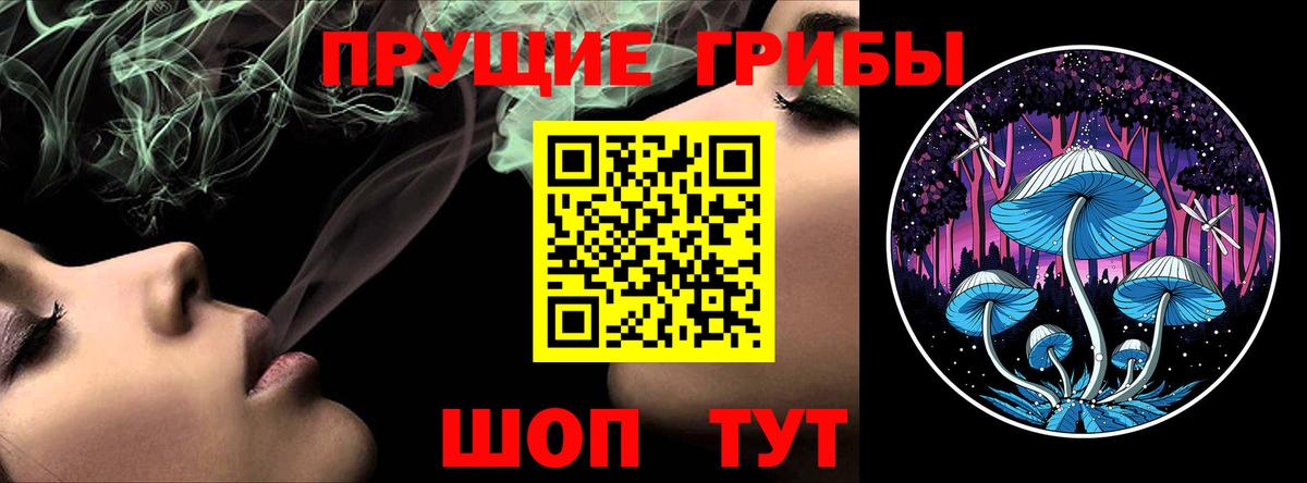 где продают наркотики  Псилоцибиновые грибы ЛСД  Прокопьевск  Галлюциногенные грибы GOLDEN TEACHER 